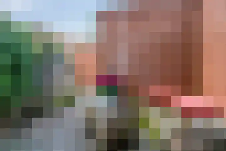 Tramsingel 95 A5 Breda thumbnail 27