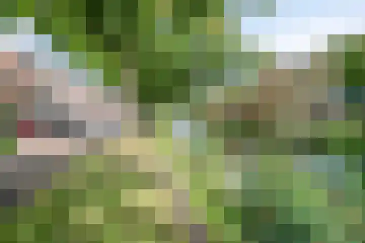 Tramsingel 95 A5 Breda thumbnail 39