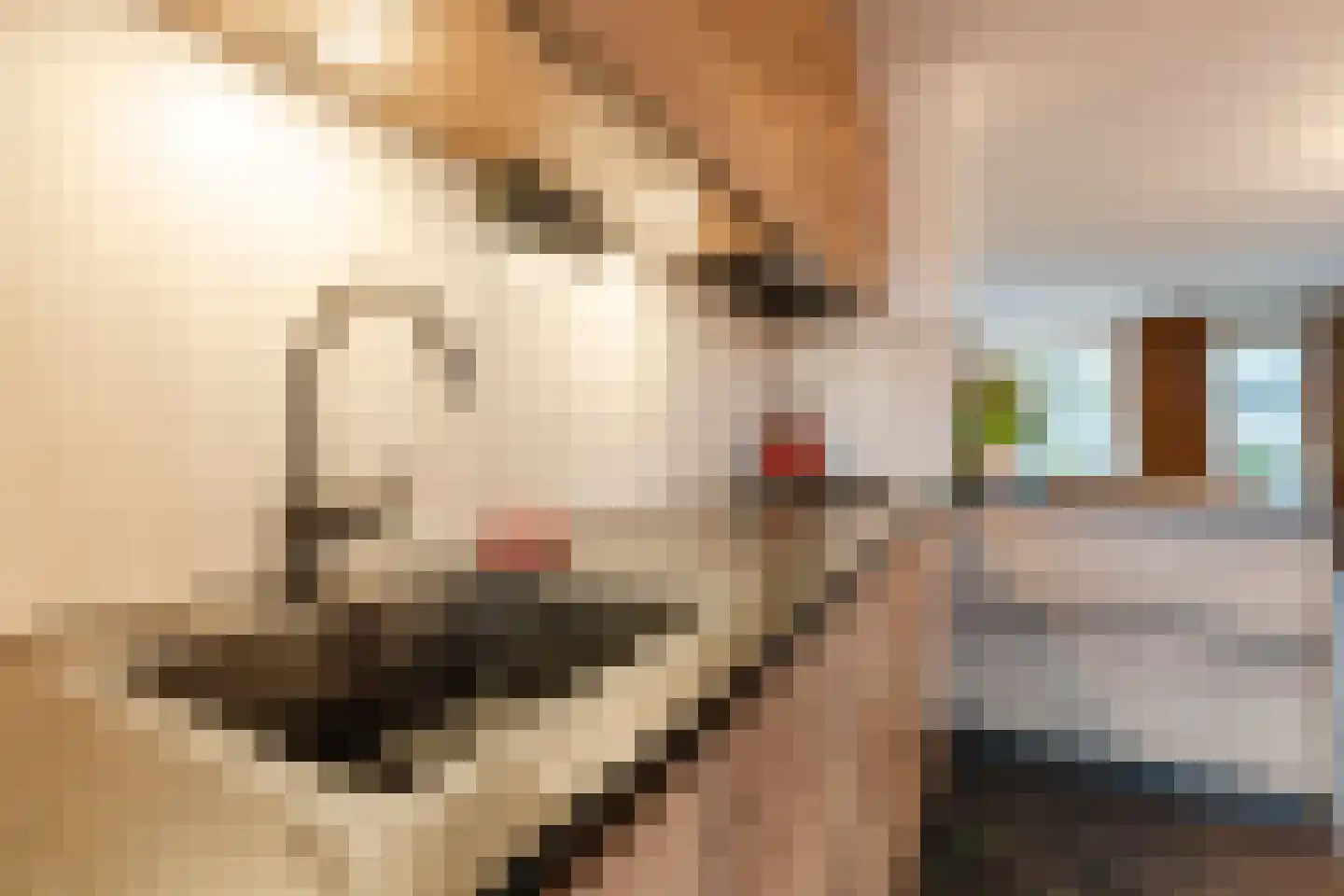 Tramsingel 95 A7 Breda thumbnail 23