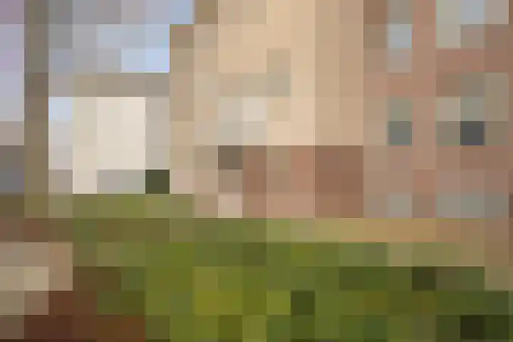 Tramstraat 15 b Lochem thumbnail 6