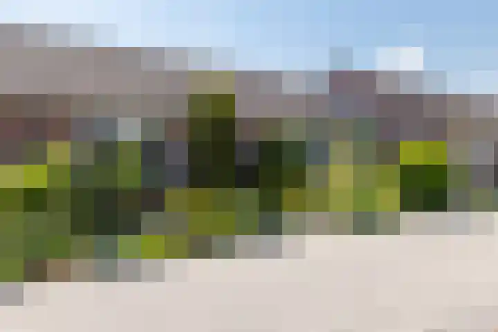 Tramstraat 15 Groenlo thumbnail 28