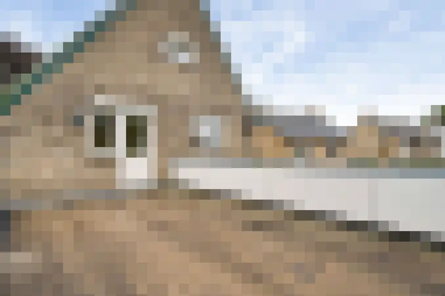 Tramstraat 17 Roggel thumbnail 58