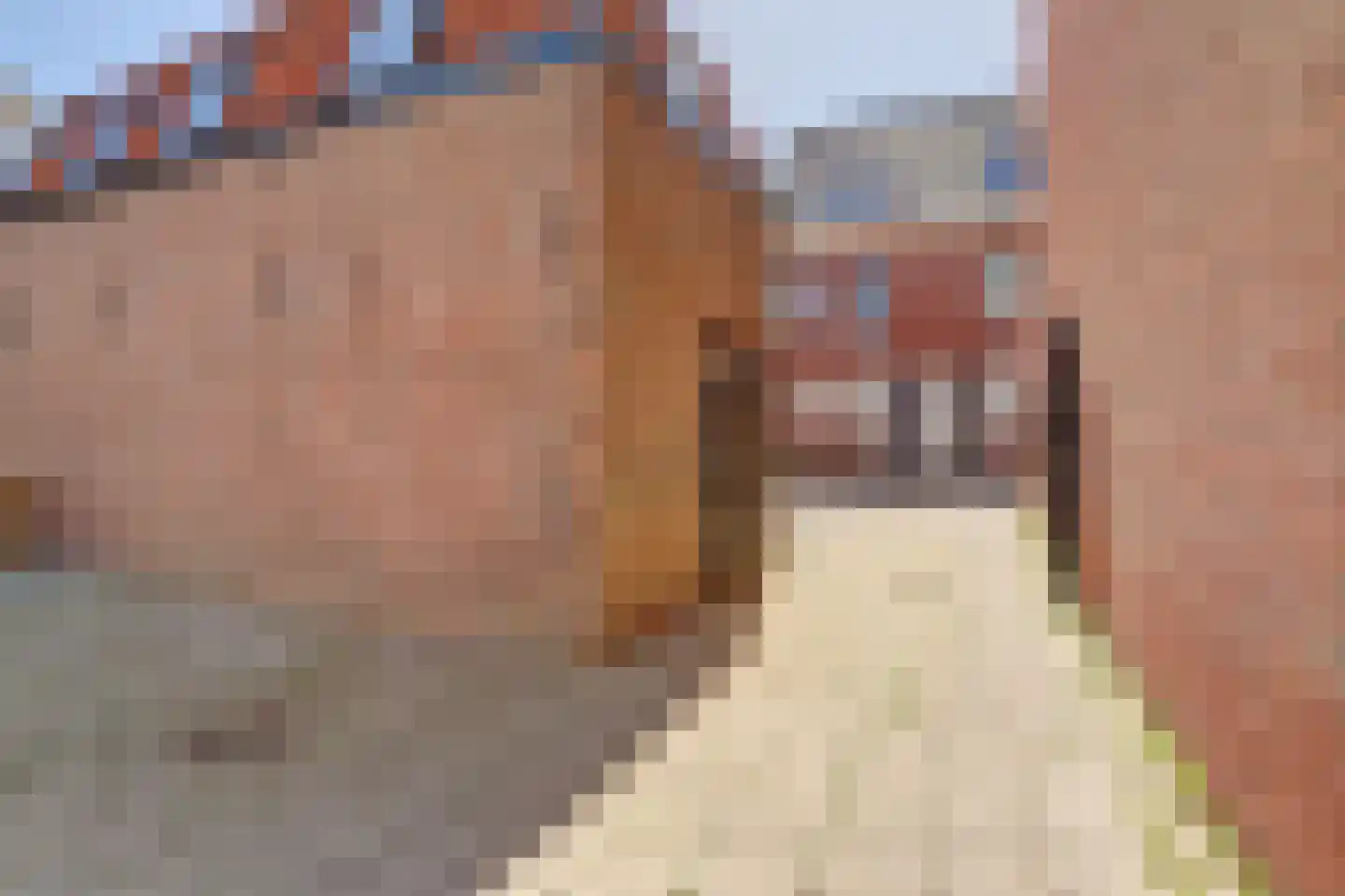 Tramstraat 2 A Nieuwegein thumbnail 30