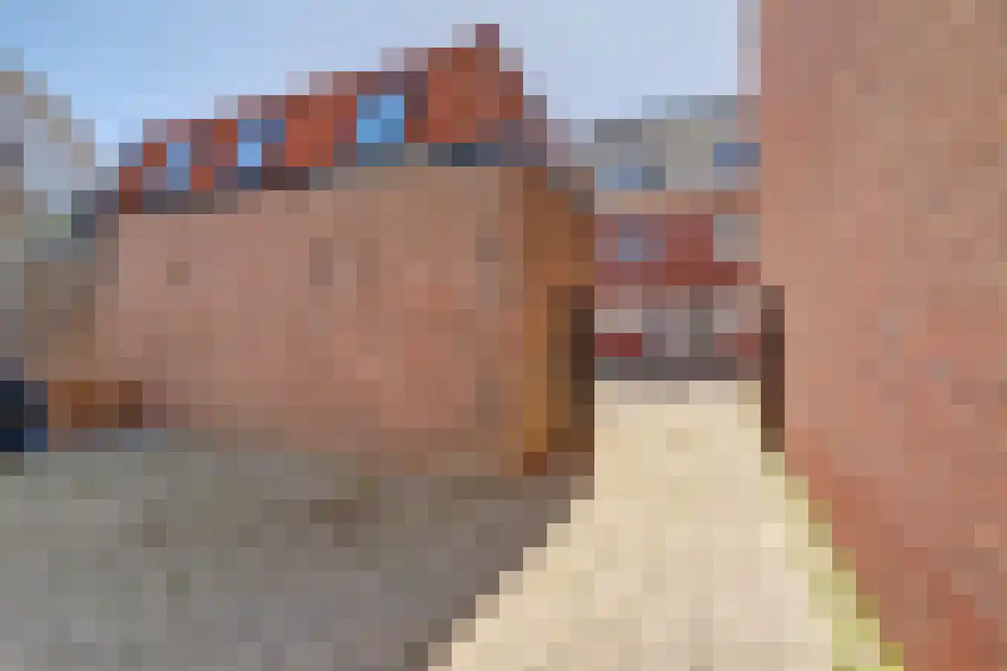 Tramstraat 2 A Nieuwegein thumbnail 31