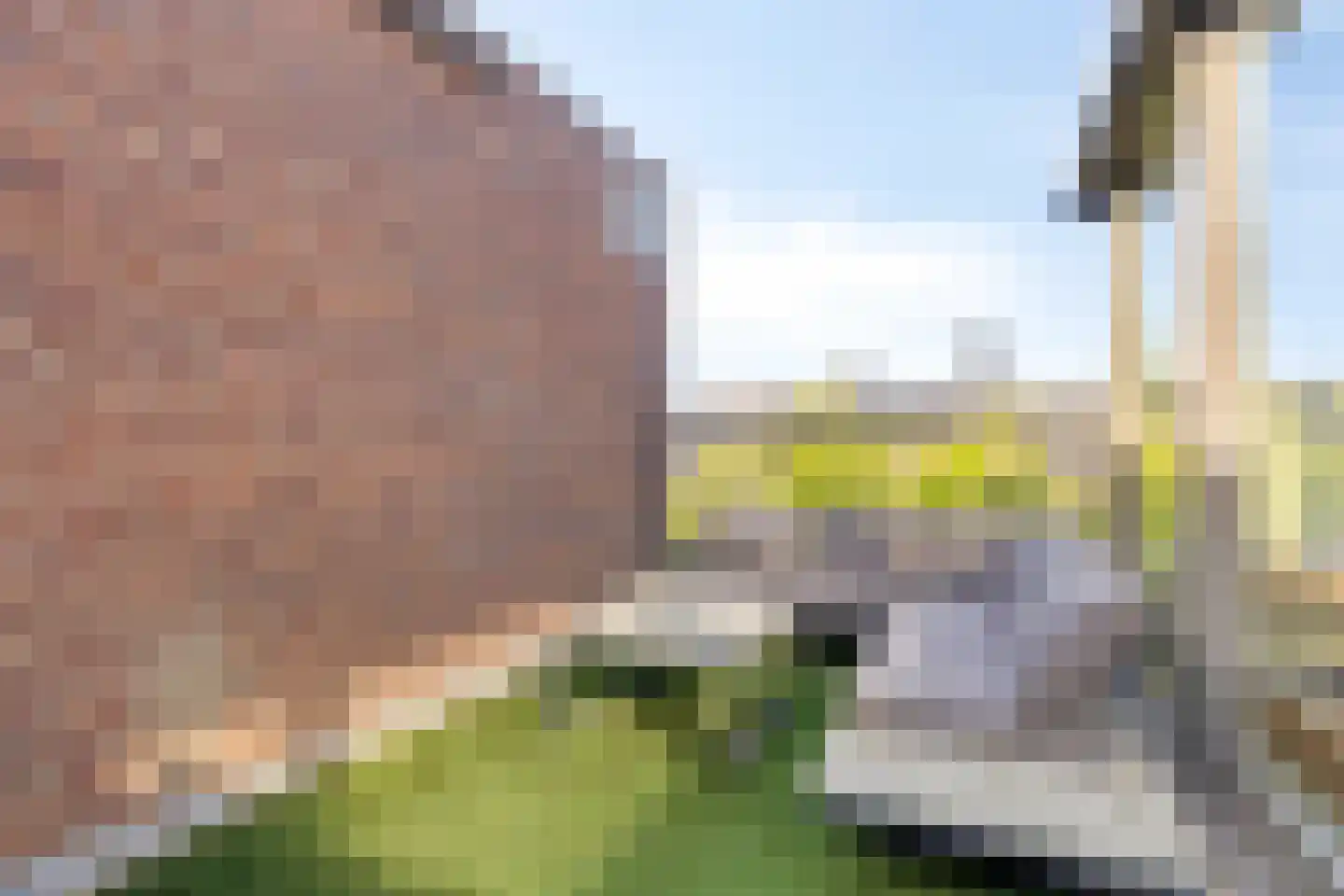 Tramstraat 21 03 Eindhoven thumbnail 12