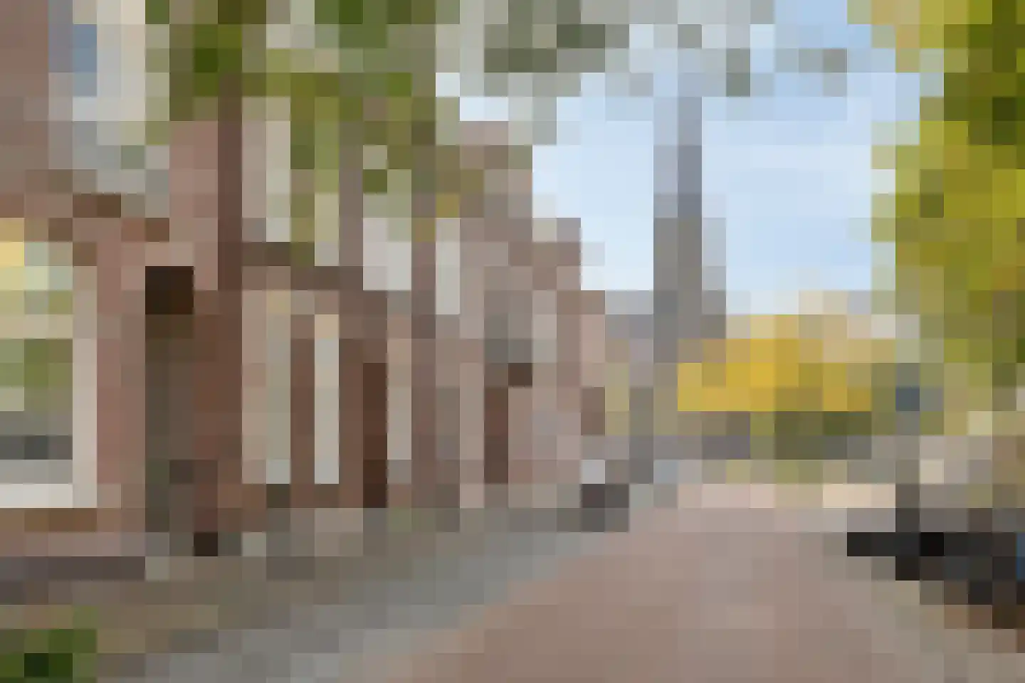 Tramstraat 21 03 Eindhoven thumbnail 29