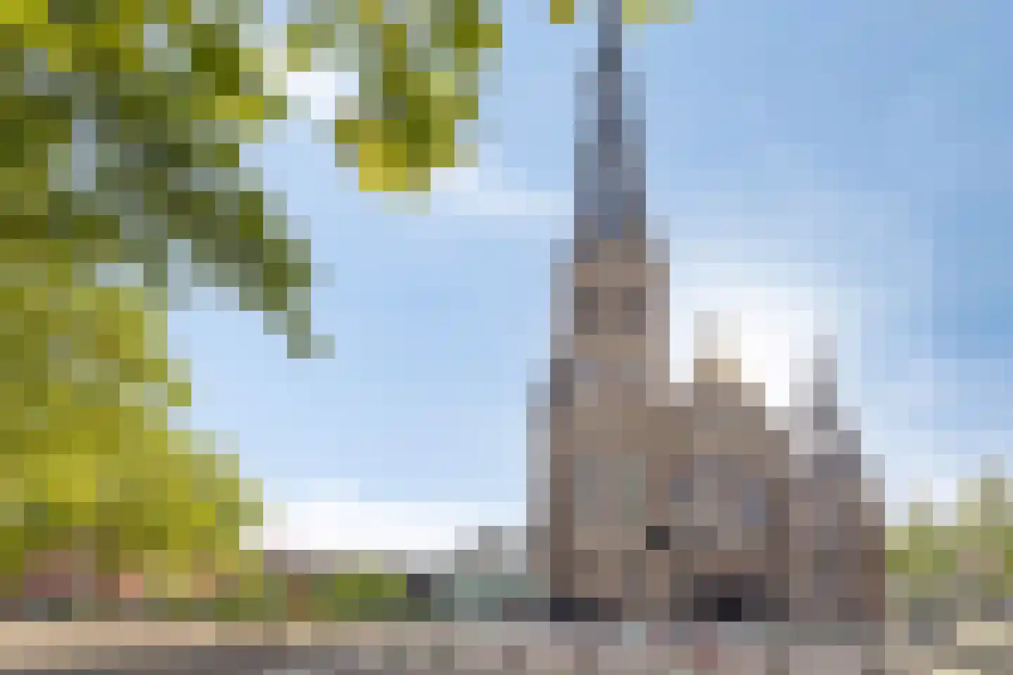Tramstraat 21 03 Eindhoven thumbnail 30