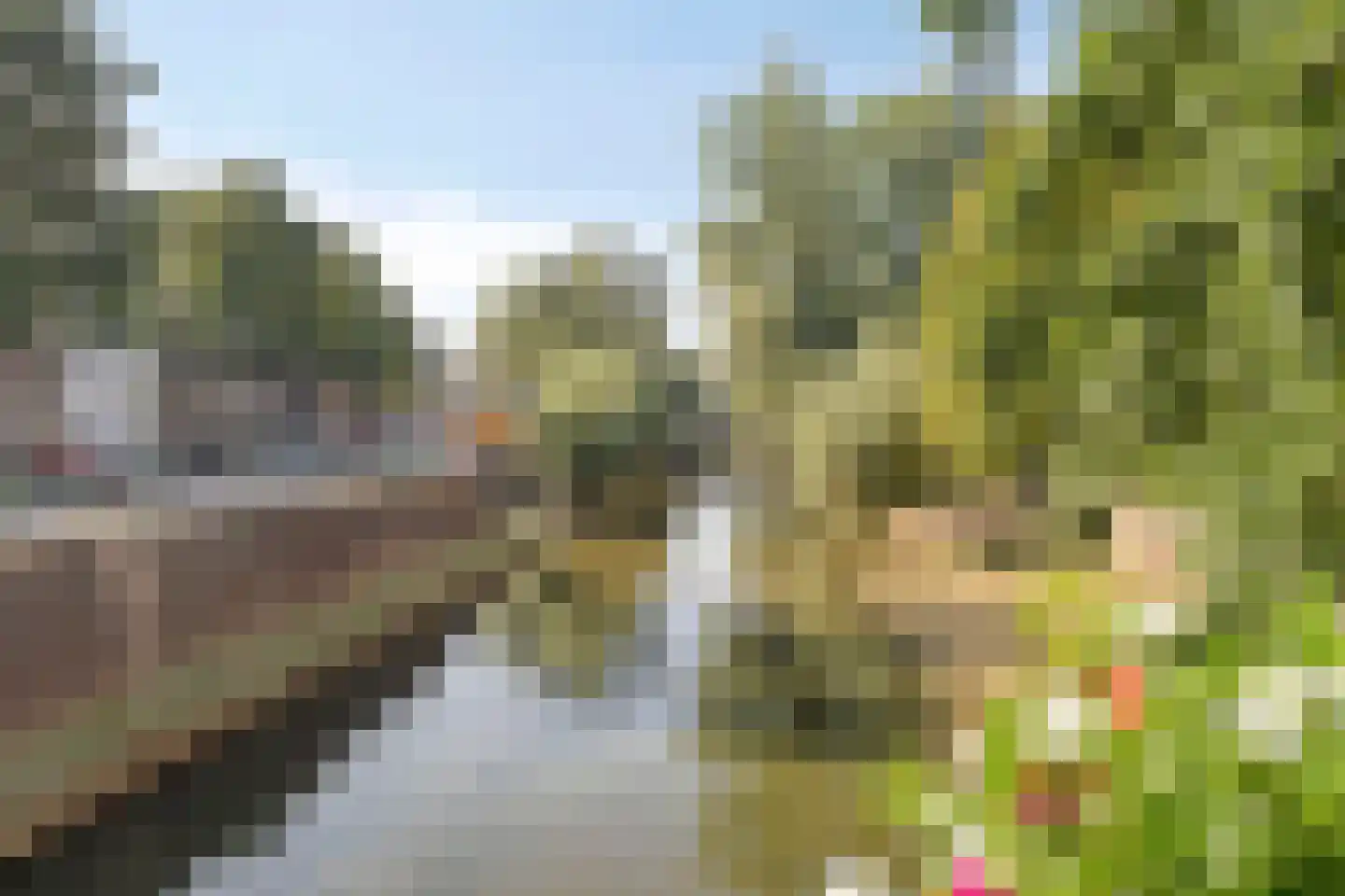 Tramstraat 21 03 Eindhoven thumbnail 31