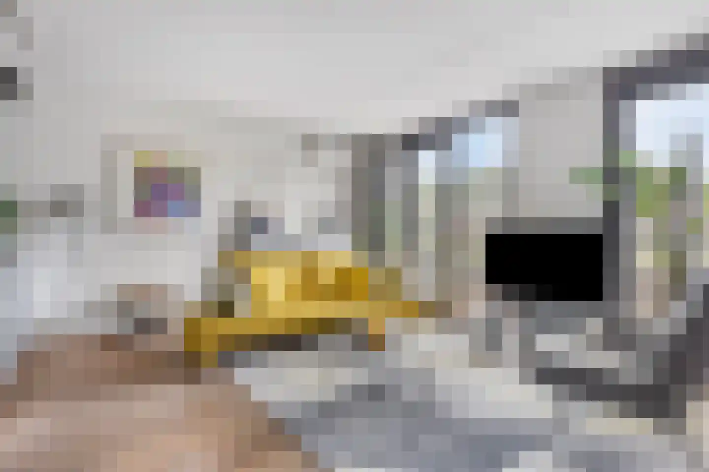 Tramstraat 21 13 Eindhoven thumbnail 14