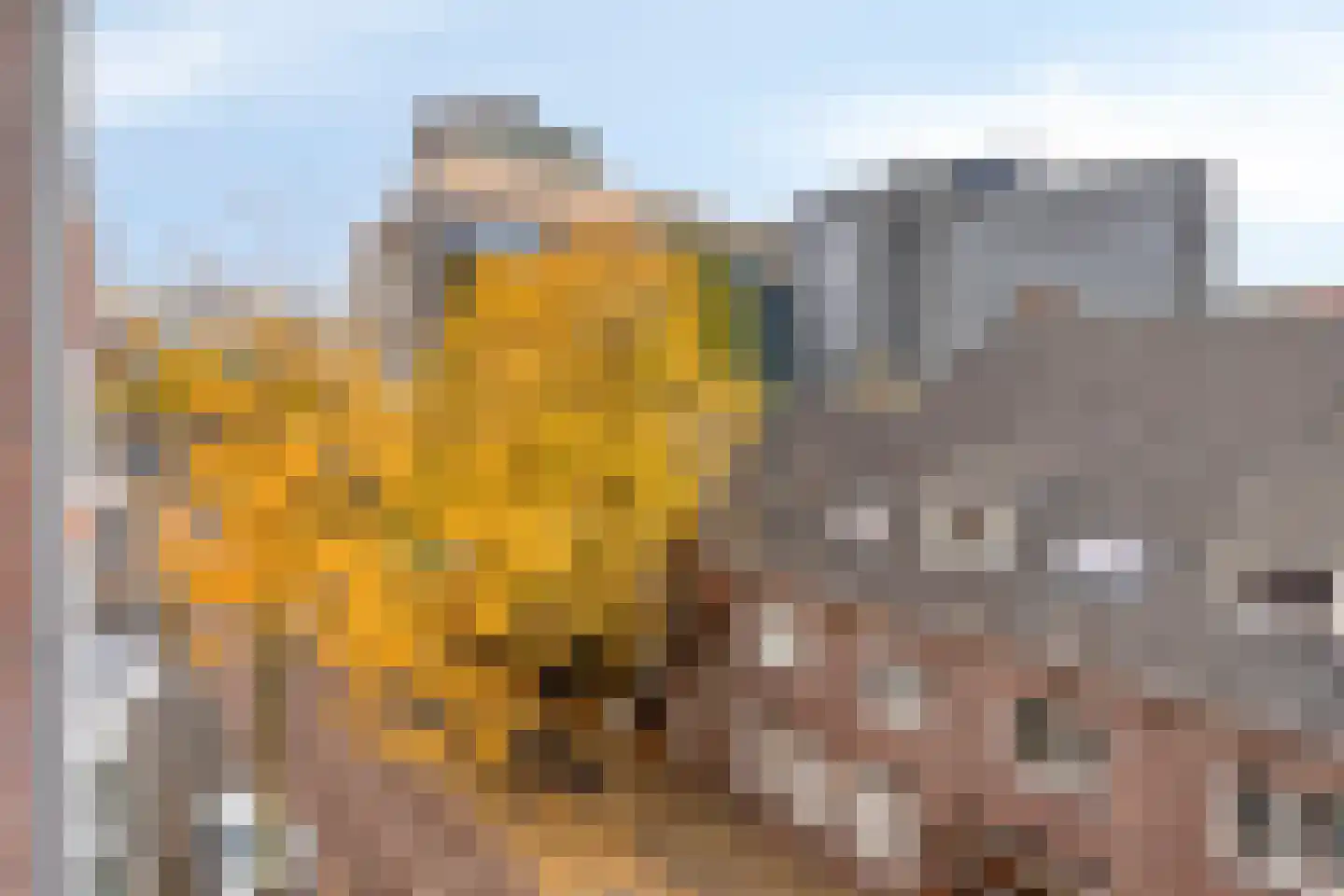 Tramstraat 21 35 Eindhoven thumbnail 33