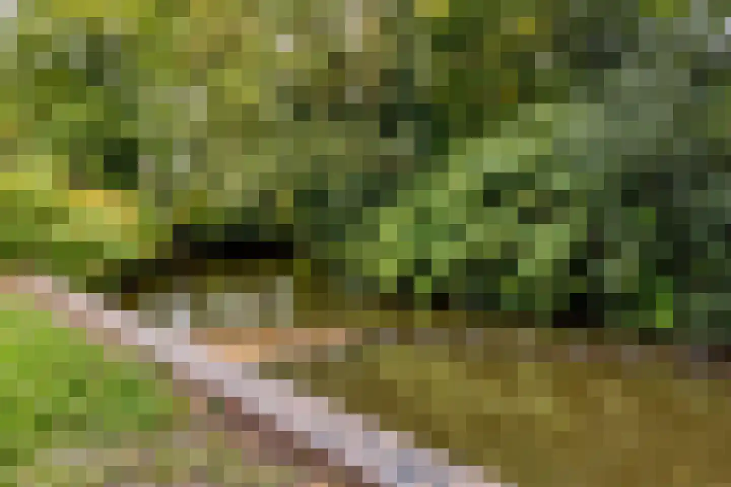Tramstraat 21 35 Eindhoven thumbnail 41