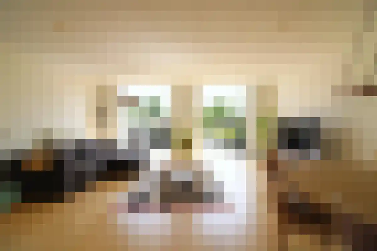 Tramstraat 21 Eindhoven thumbnail 5