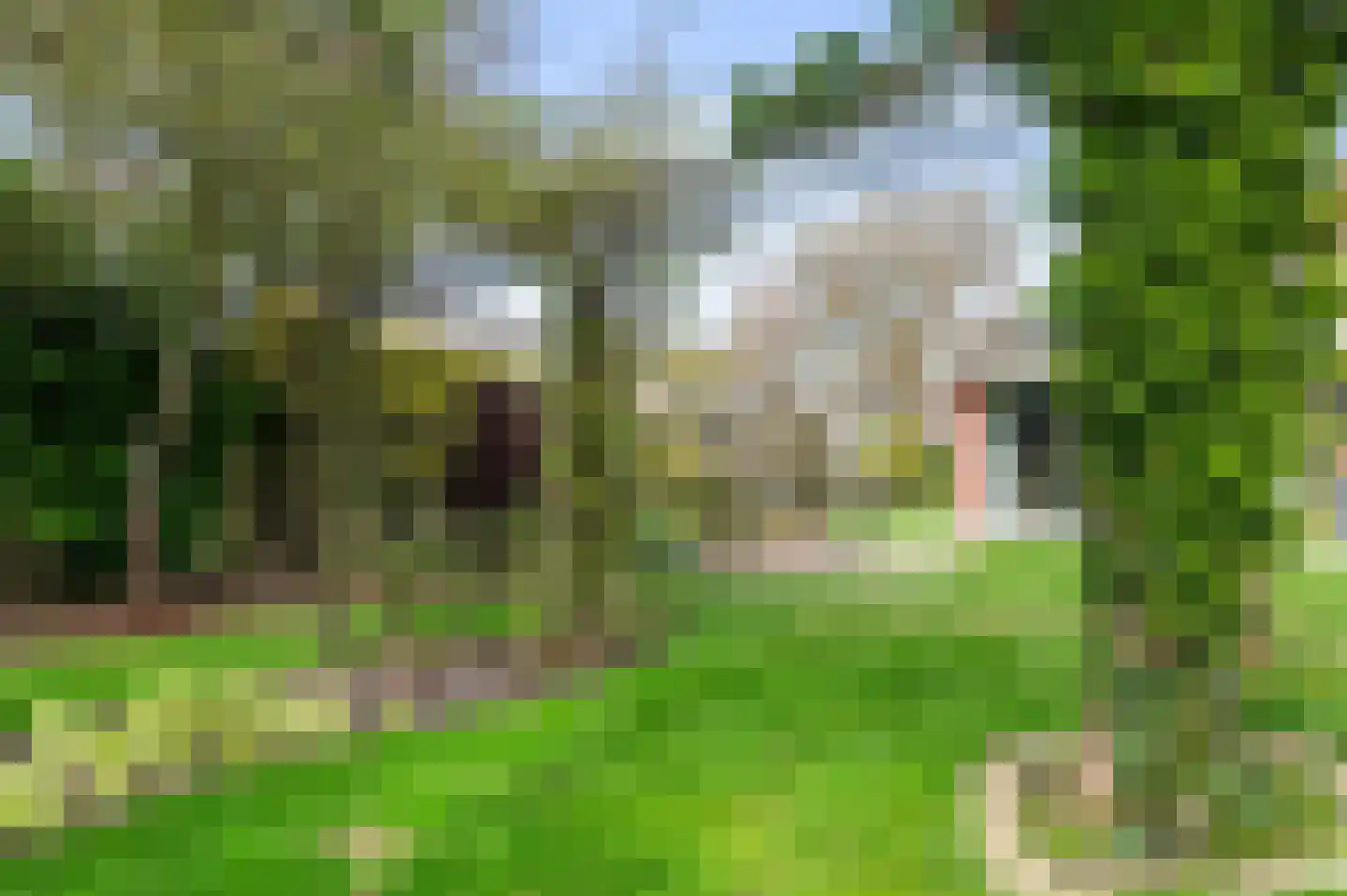 Tramstraat 25 Groenlo thumbnail 39