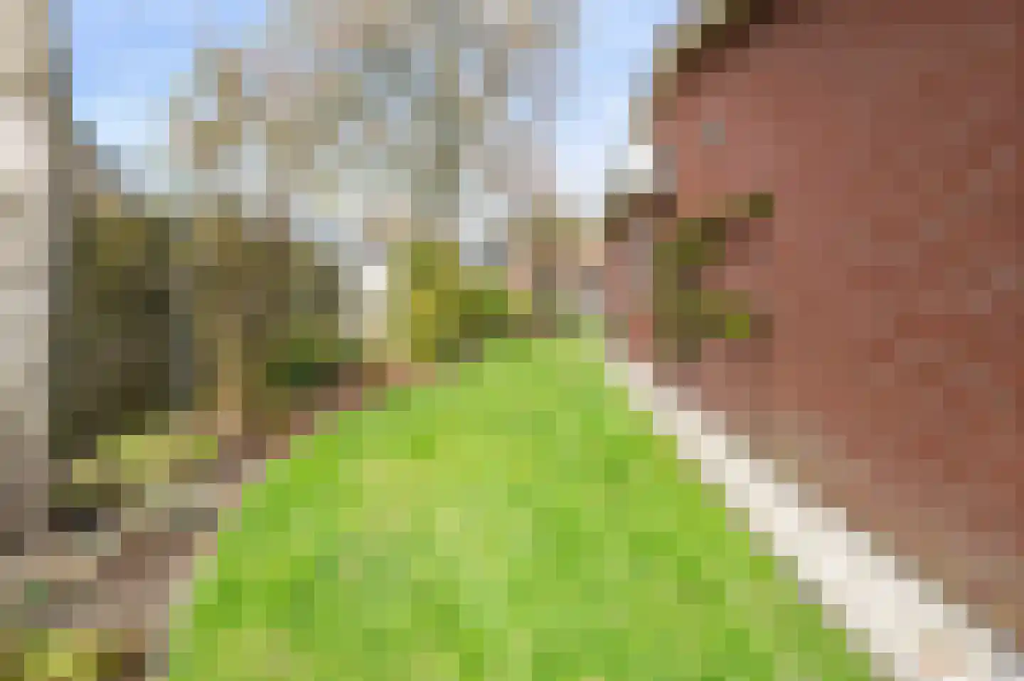 Tramstraat 25 Groenlo thumbnail 41