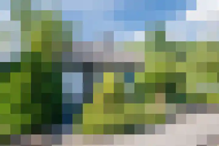 Tramstraat 29 Groenlo thumbnail 4