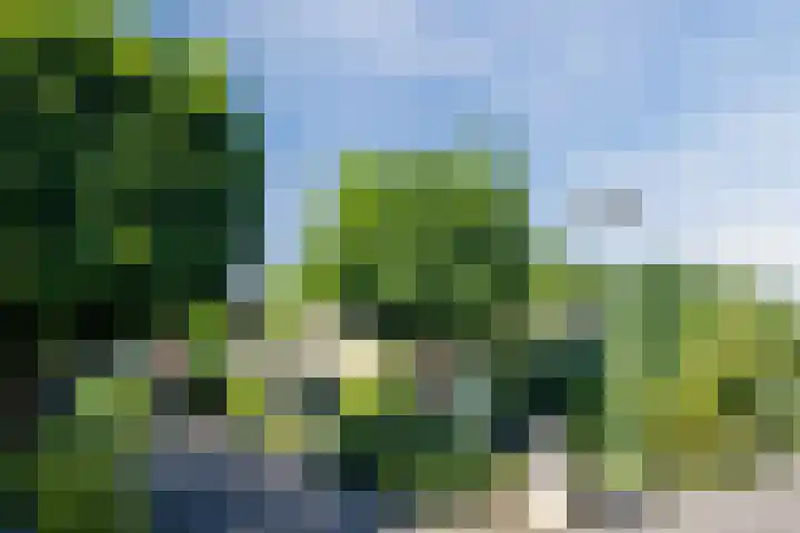 Tramstraat 29 Groenlo thumbnail 55