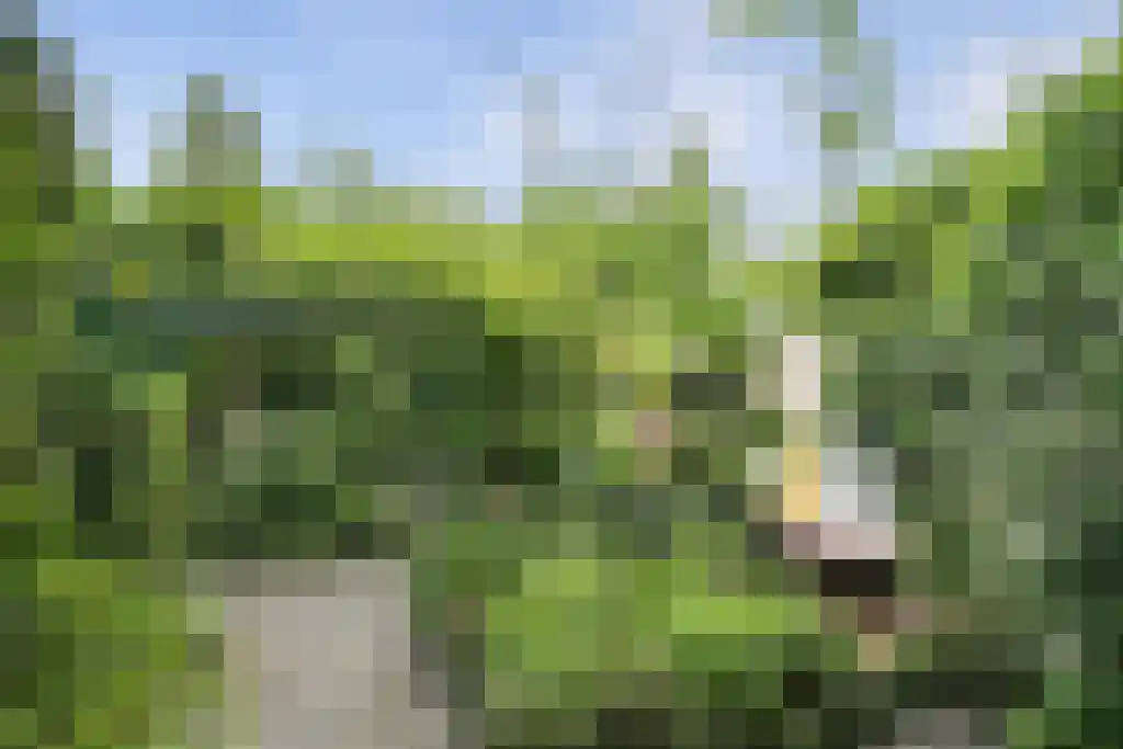 Tramstraat 30 Eindhoven thumbnail 32