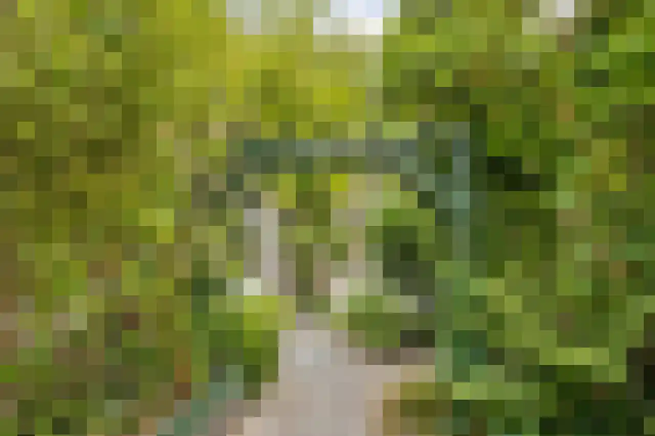 Tramstraat 30 Eindhoven thumbnail 34