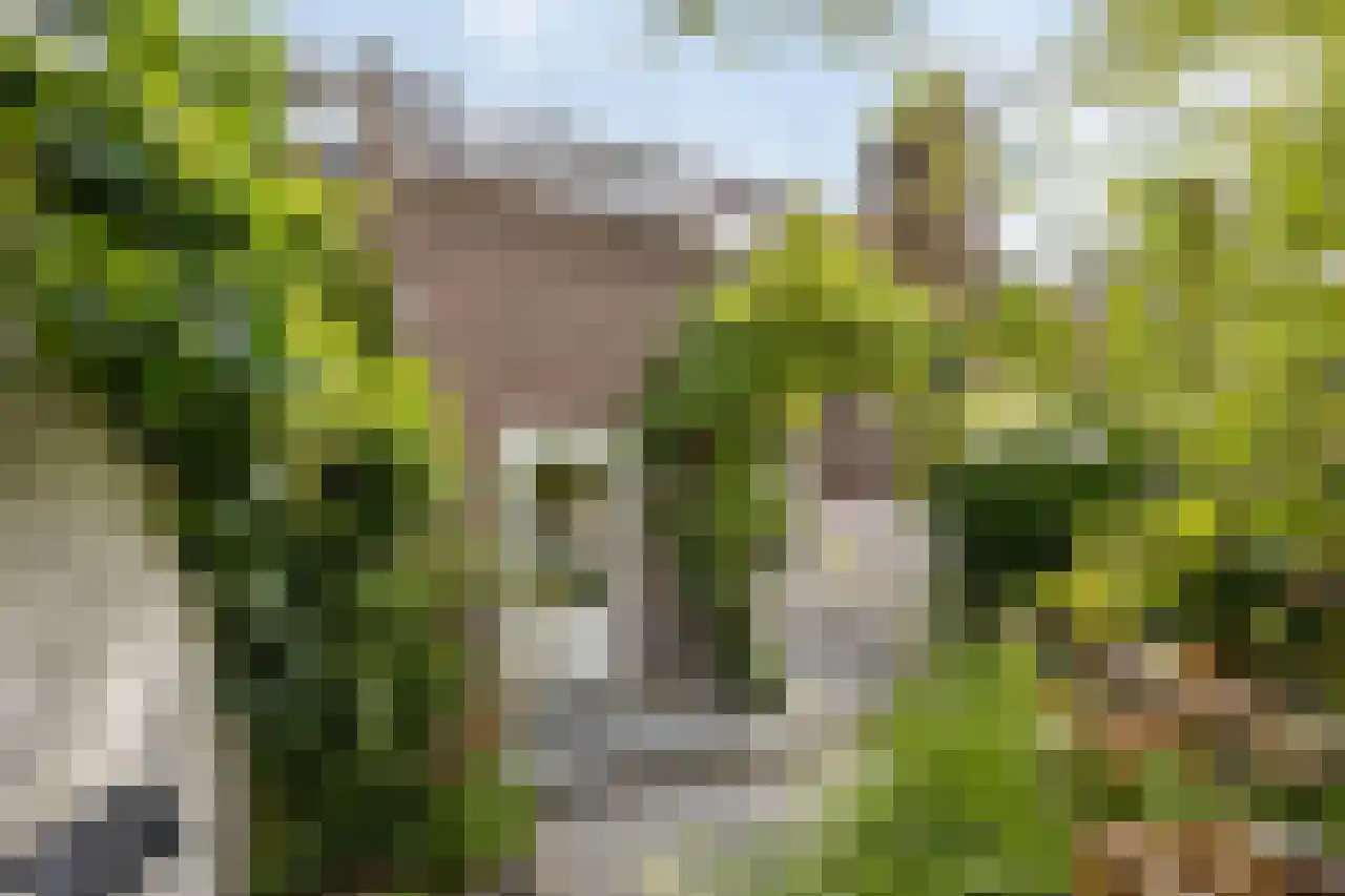 Tramstraat 30 Eindhoven thumbnail 36