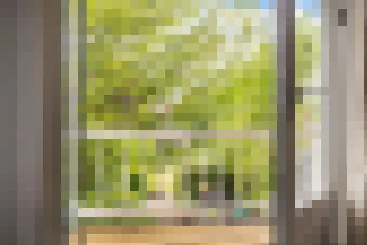 Tramstraat 33 Lochem thumbnail 38