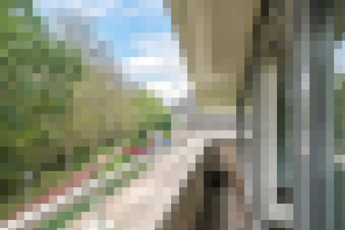 Tramstraat 39 Doetinchem thumbnail 20