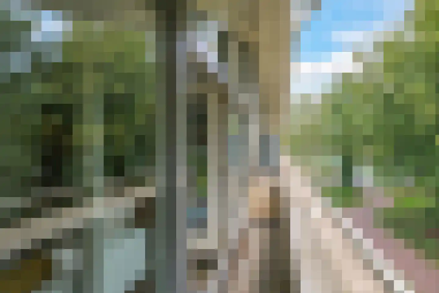 Tramstraat 39 Doetinchem thumbnail 21