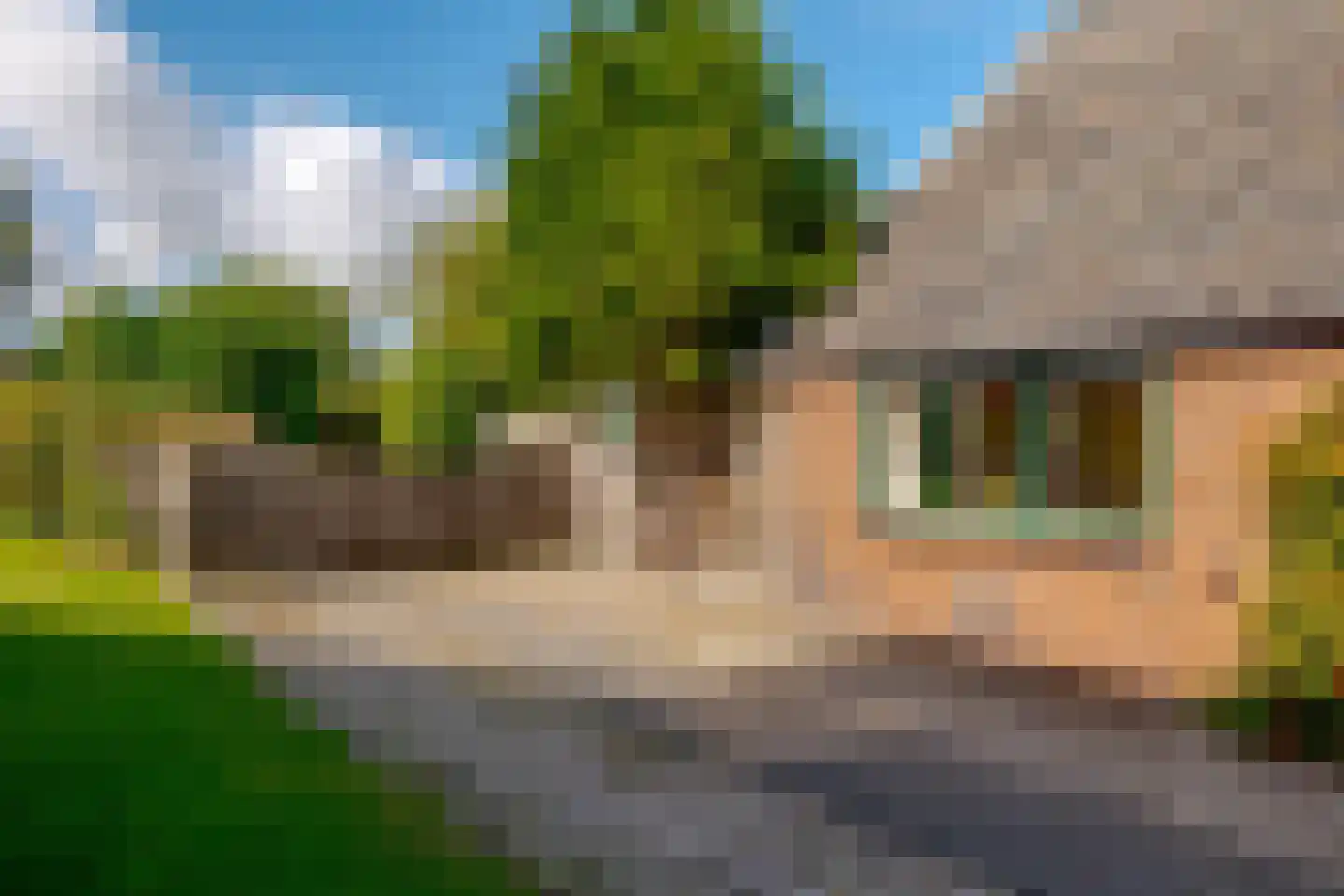 Tramstraat 39 Schoonoord thumbnail 41