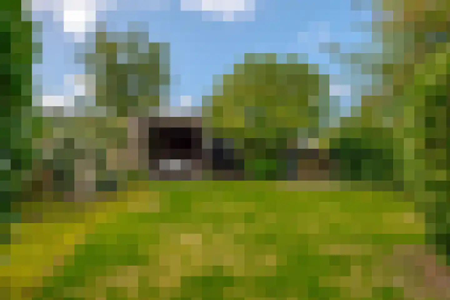 Tramstraat 39 Schoonoord thumbnail 45