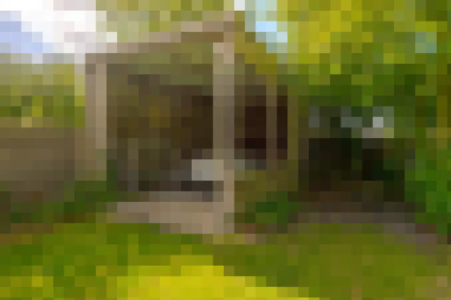 Tramstraat 39 Schoonoord thumbnail 47