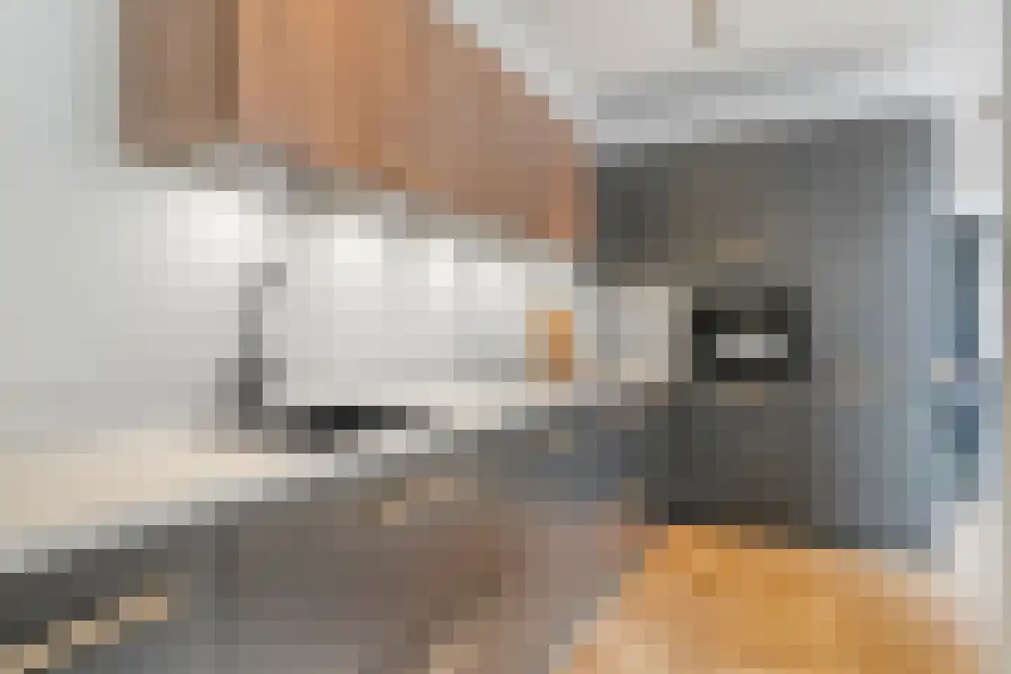Tramstraat 4 Eindhoven thumbnail 16