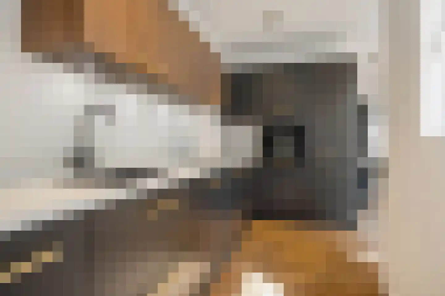 Tramstraat 4 Eindhoven thumbnail 21