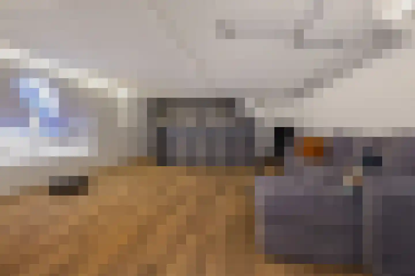 Tramstraat 4 Eindhoven thumbnail 23