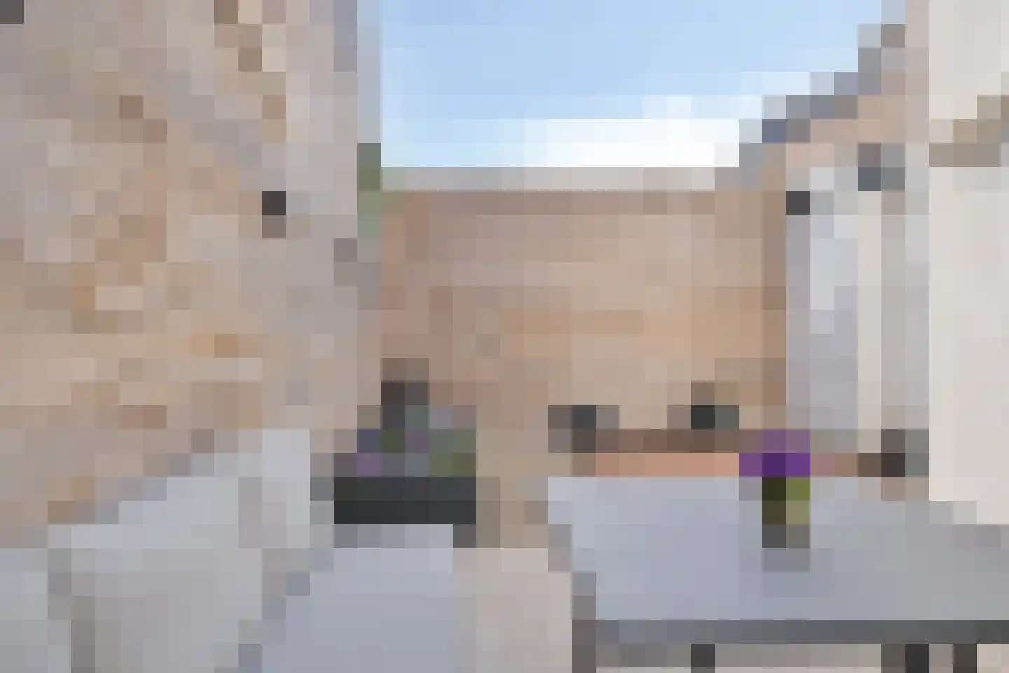 Tramstraat 4 Eindhoven thumbnail 34