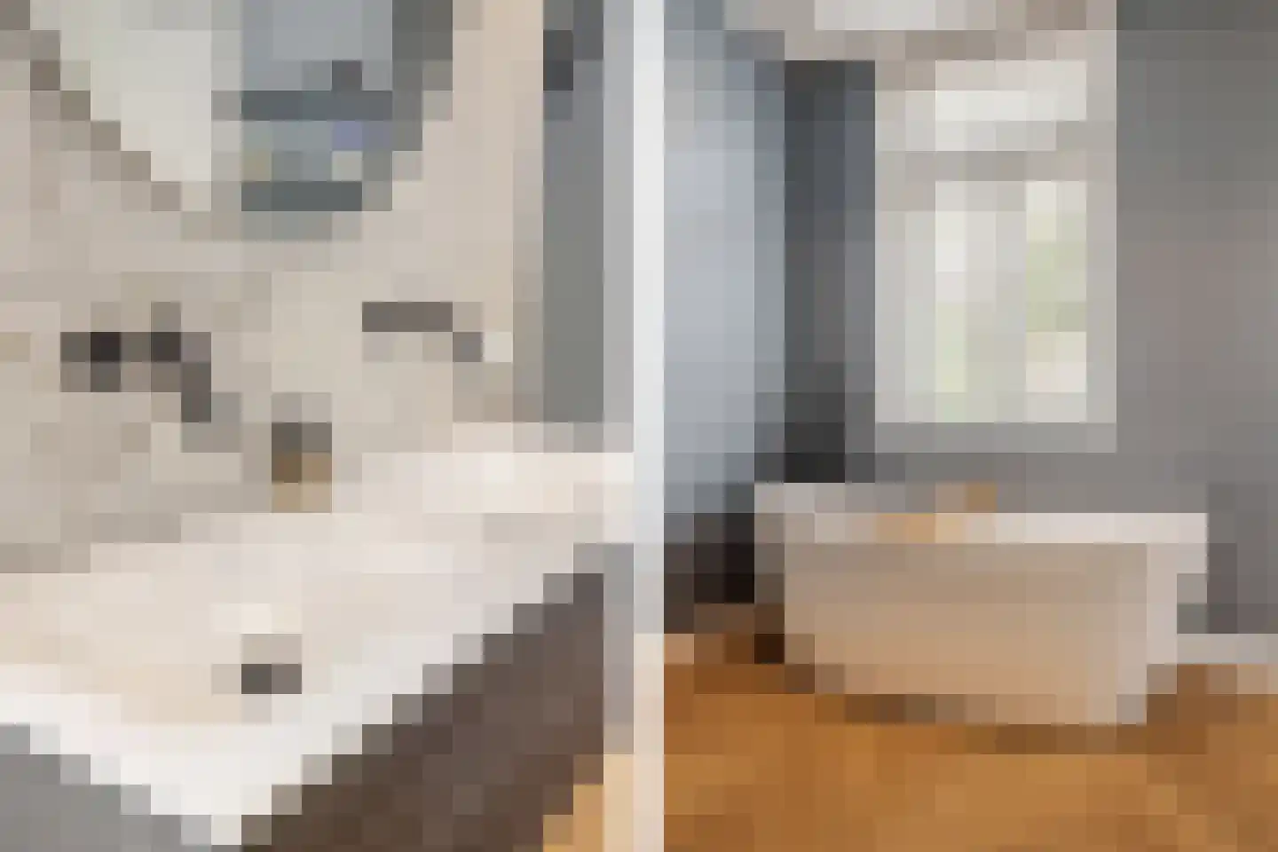 Tramstraat 4 Eindhoven thumbnail 35