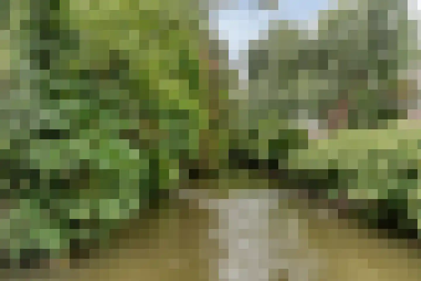 Tramstraat 4 Eindhoven thumbnail 36
