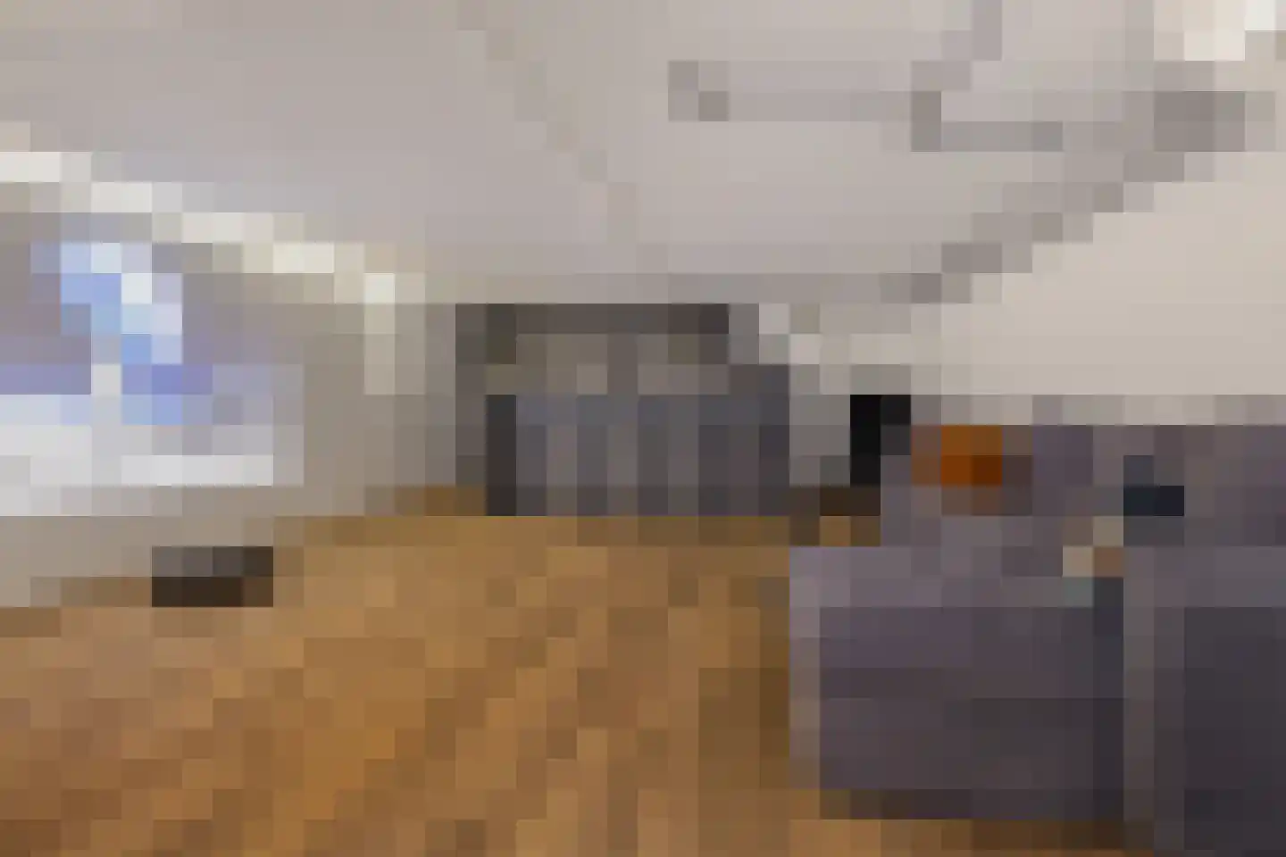 Tramstraat 4 Eindhoven thumbnail 4