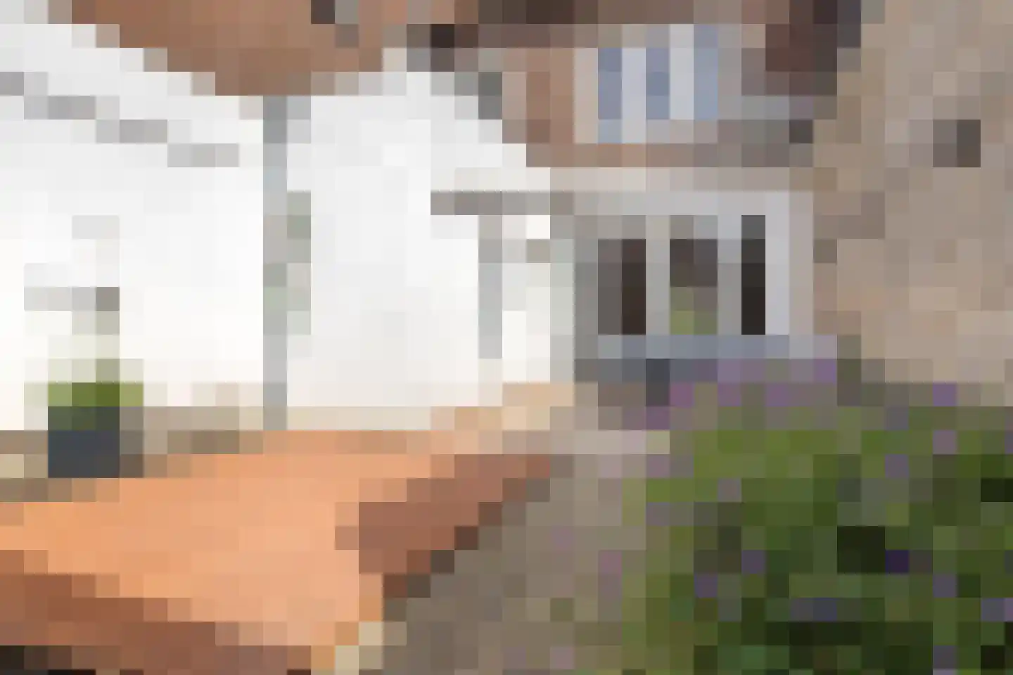 Tramstraat 4 Eindhoven thumbnail 55