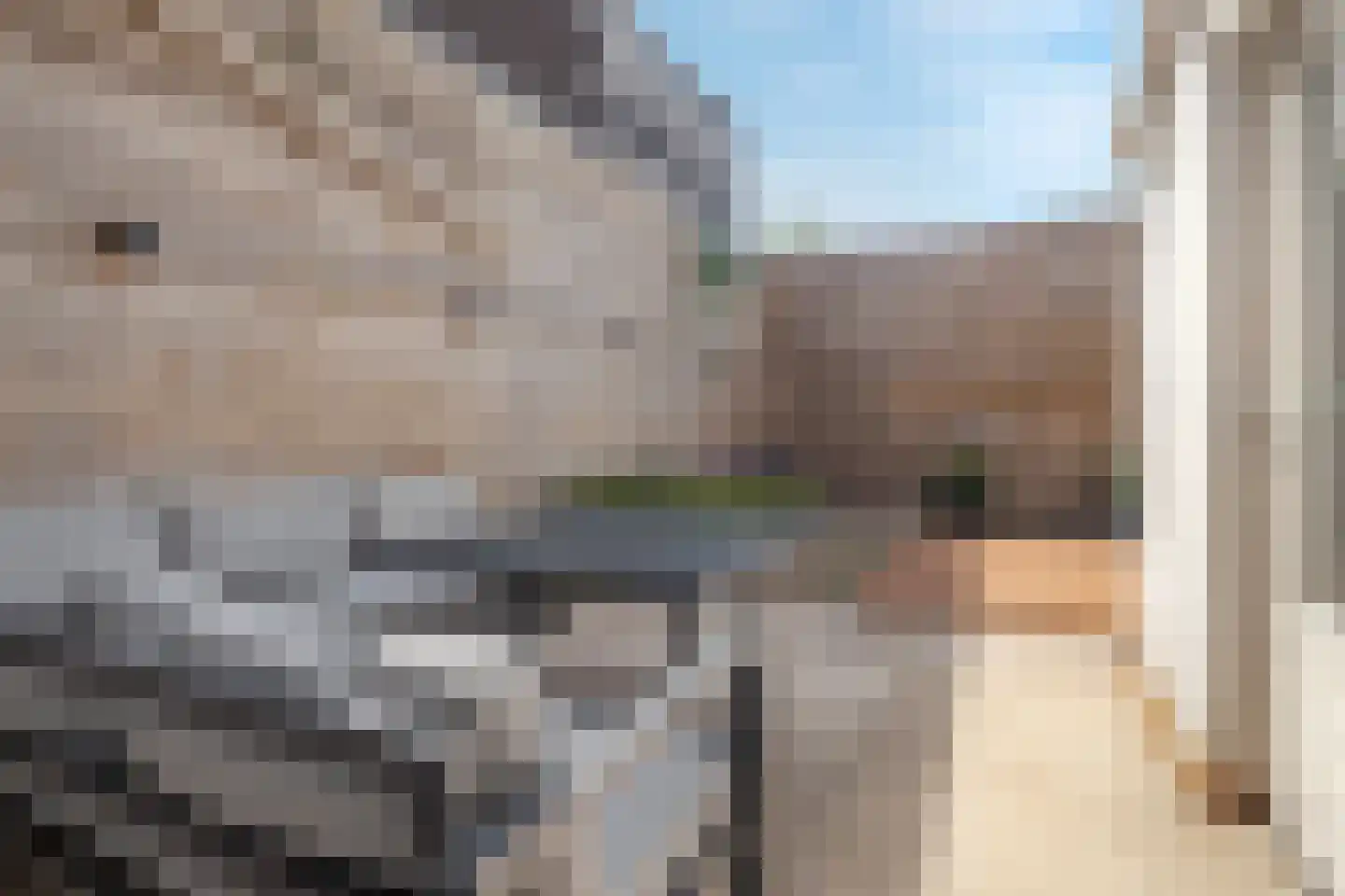 Tramstraat 4 Eindhoven thumbnail 58