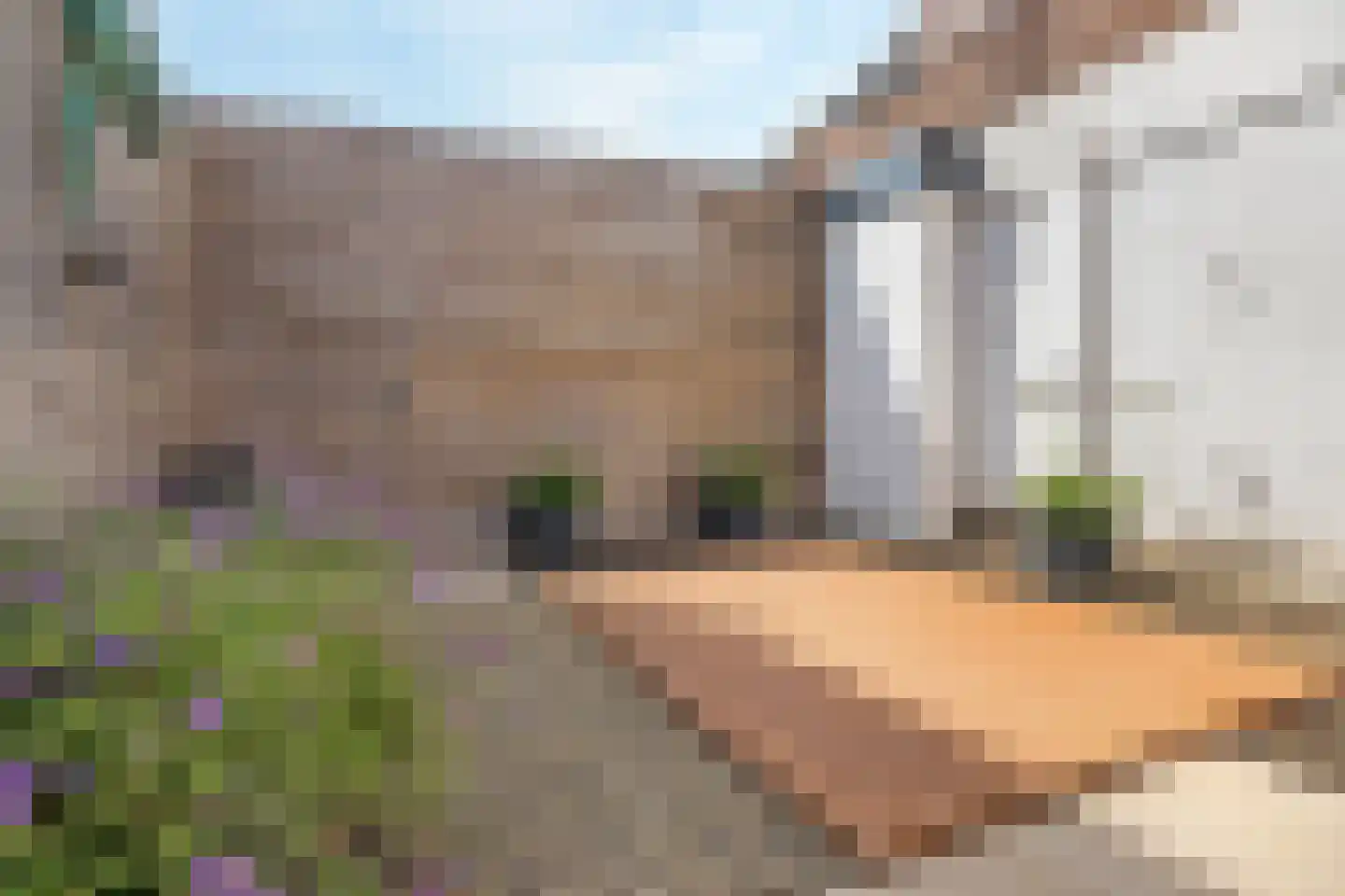Tramstraat 4 Eindhoven thumbnail 60