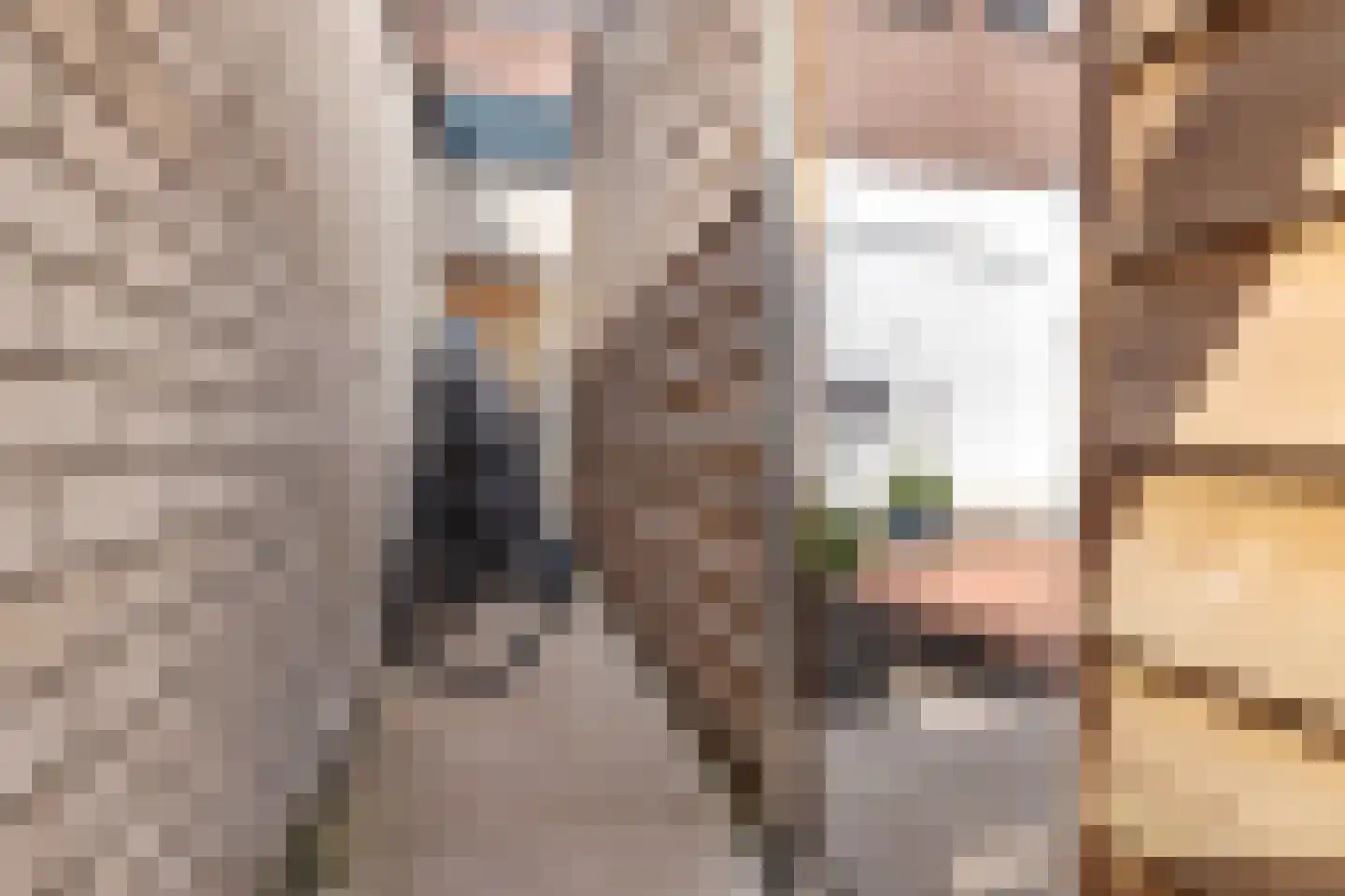Tramstraat 4 Eindhoven thumbnail 62