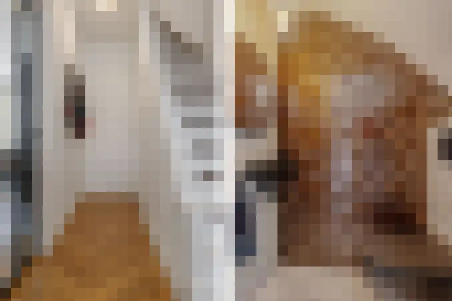 Tramstraat 4 Eindhoven thumbnail 7