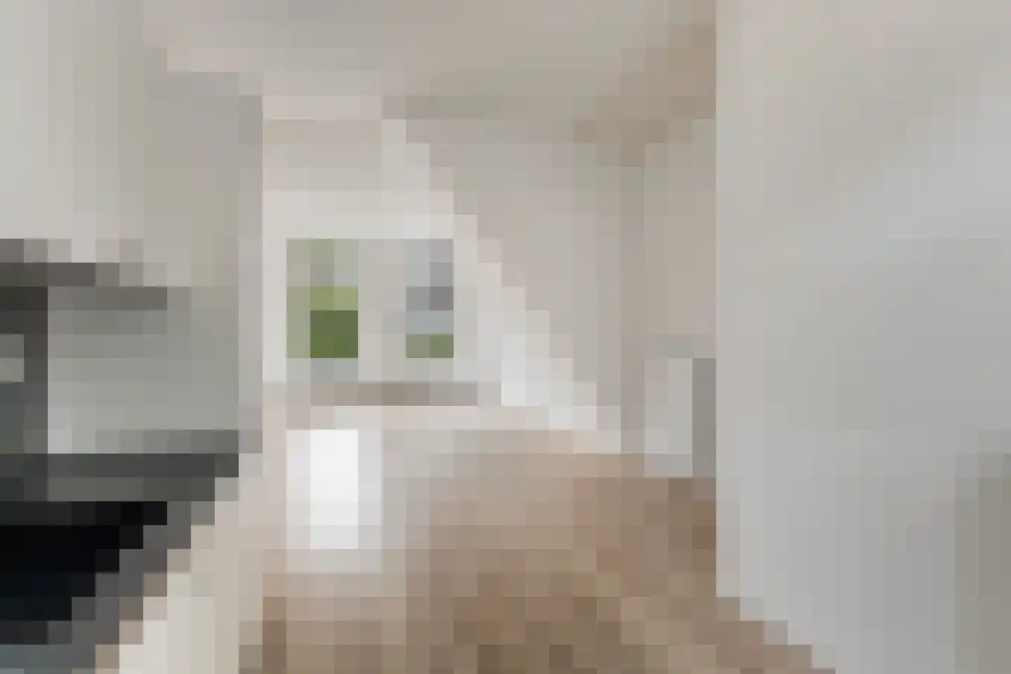 Tramstraat 4 Leeuwarden thumbnail 16