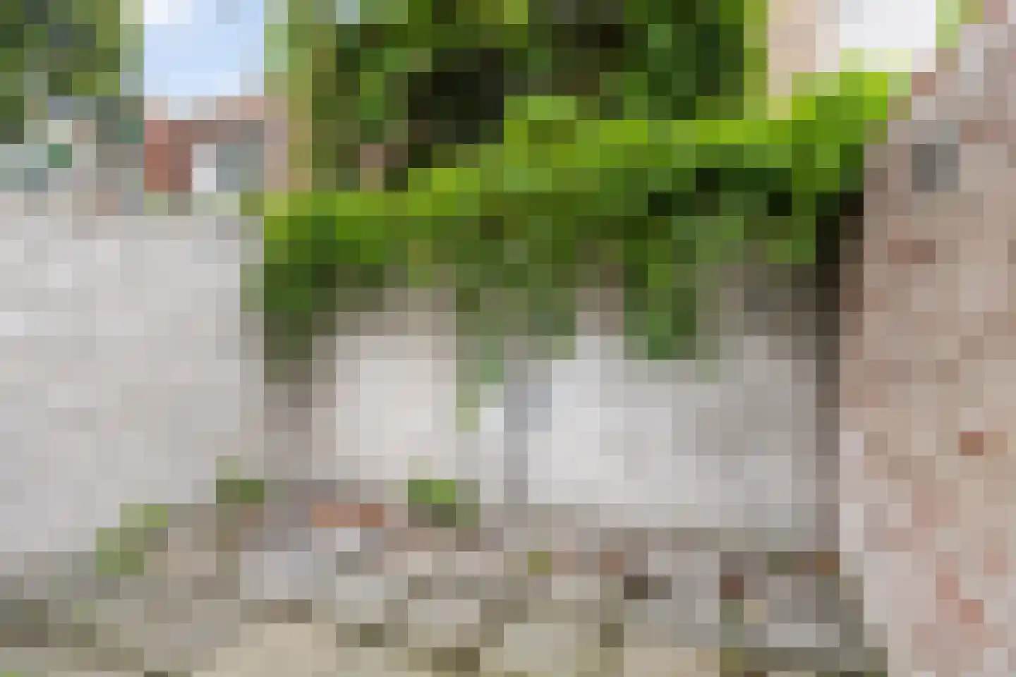 Tramstraat 4 Leeuwarden thumbnail 22