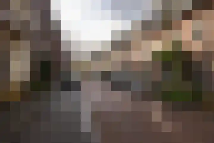 Tramstraat 42 Eindhoven thumbnail 31
