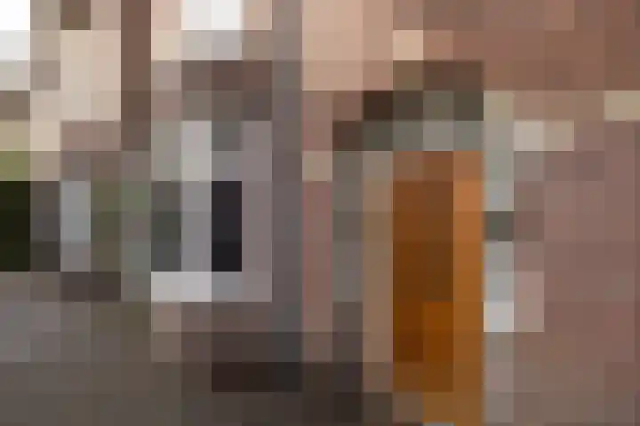 Tramstraat 42 Eindhoven thumbnail 6