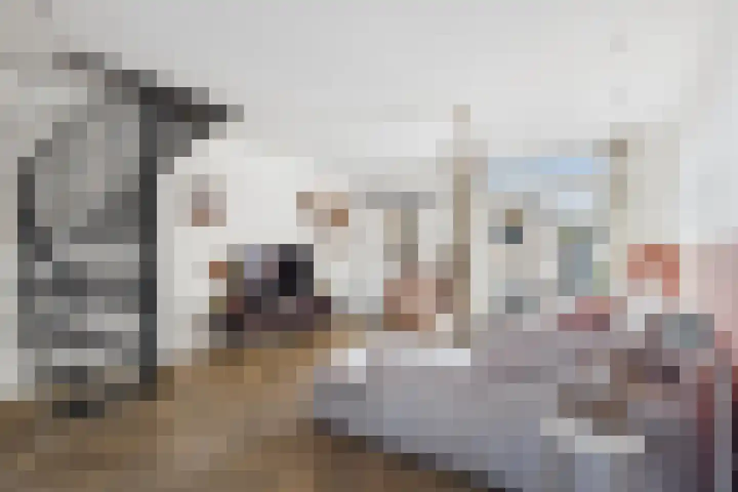 Tramstraat 43 Terneuzen thumbnail 12