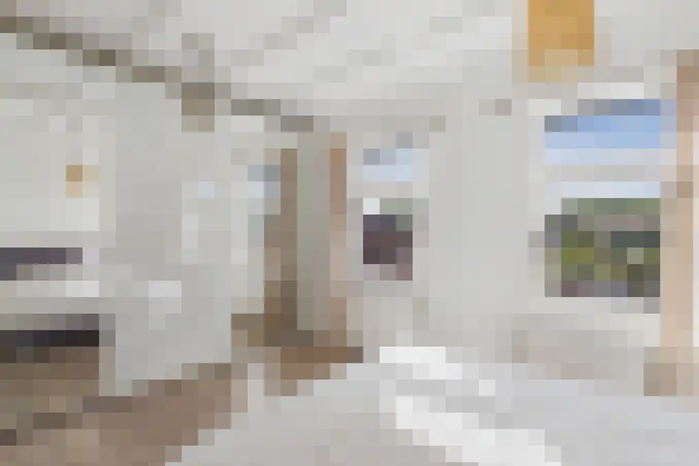 Tramstraat 43 Terneuzen thumbnail 30