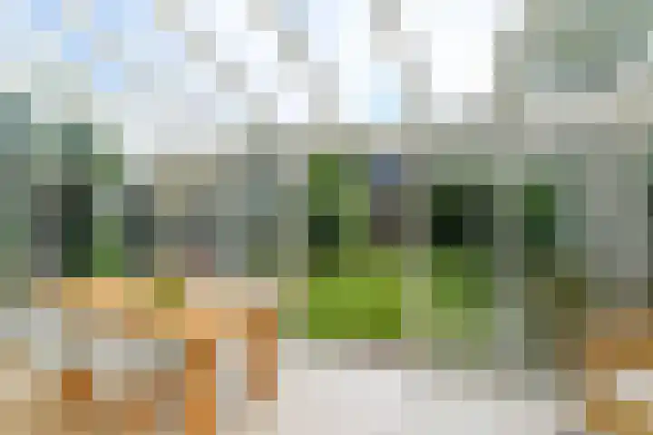 Tramstraat 44 Velp thumbnail 17