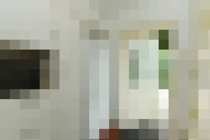 Tramstraat 44 Velp thumbnail 23