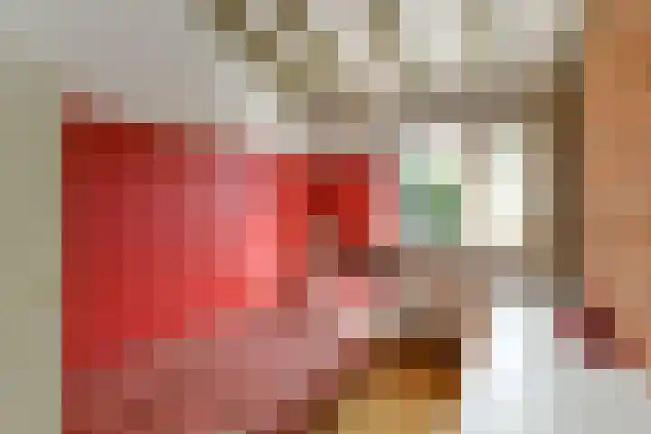 Tramstraat 44 Velp thumbnail 29